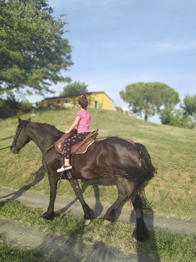 Matilde * Catabbio