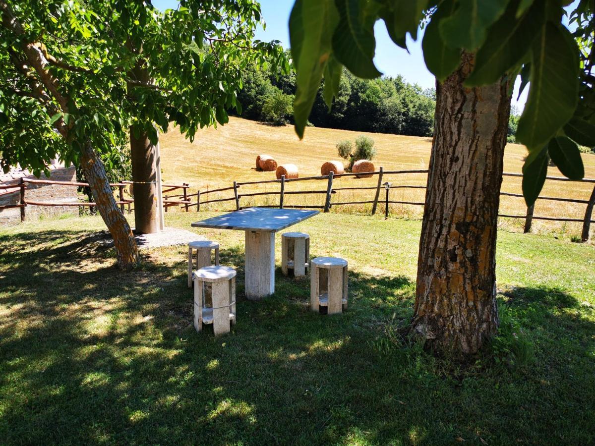 Matilde Holiday home Catabbio